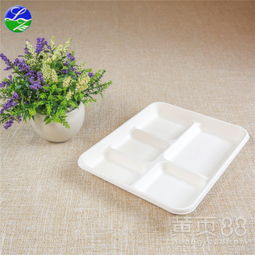绿色革命 甘蔗浆竹浆分格盘引领一次性餐具出口新潮流